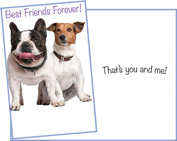 Best Friend Forever Card