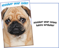 Dog Birthday Card