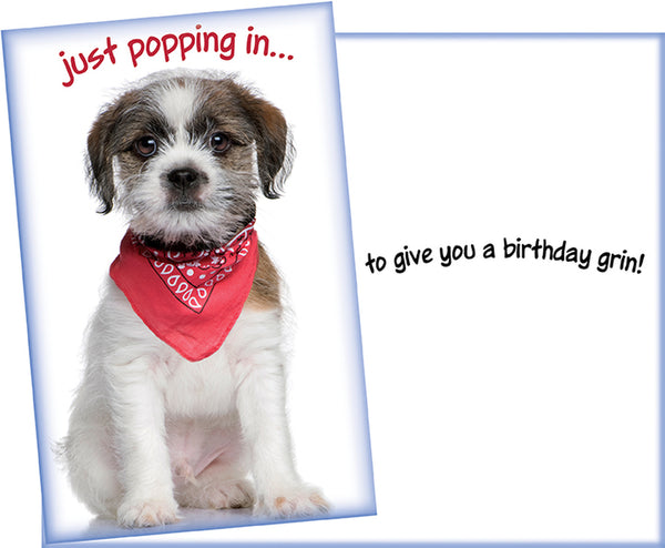 Puppy Birthday Card